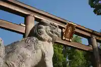 和泉國一之宮 大鳥大社の狛犬