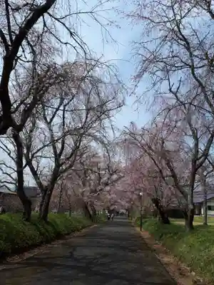 徳佐八幡宮の周辺