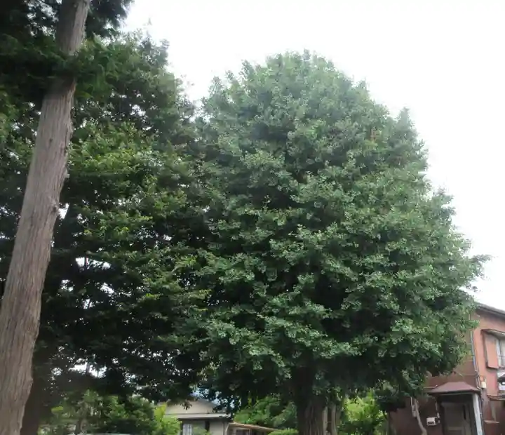 岡村天満宮(神奈川県)