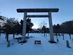 札幌護國神社の鳥居