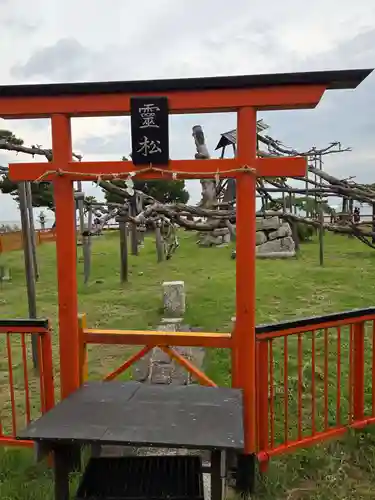唐崎神社の御朱印
