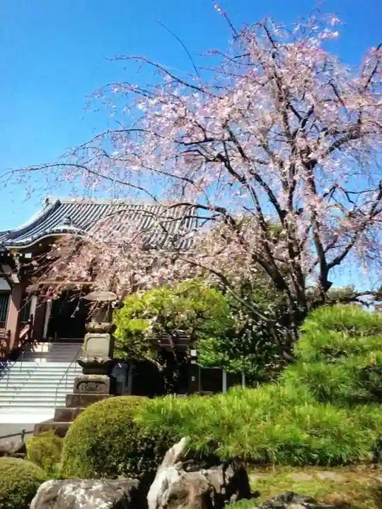 最勝寺(東京都)