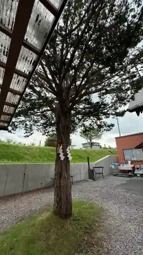 森三吉神社(北海道)