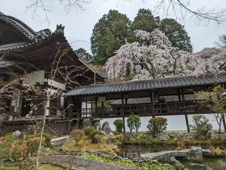 十輪寺(京都府)