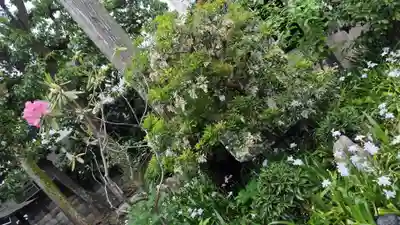 大将軍八神社(京都府)