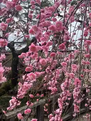 北野天満宮(京都府)