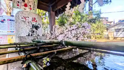 麻賀多神社の手水舎