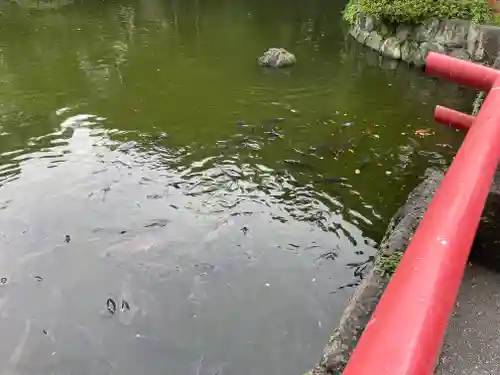 三嶋大社(静岡県)