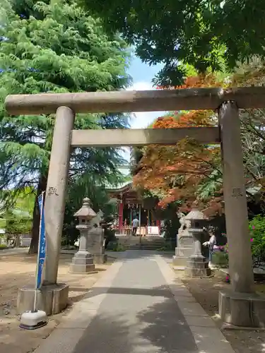 青山熊野神社の鳥居