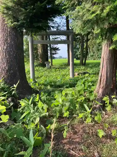 芳志戸の神社(栃木県)