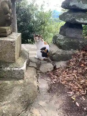豊玉姫神社の動物