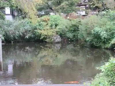 時宗総本山 遊行寺（正式：清浄光寺）(神奈川県)