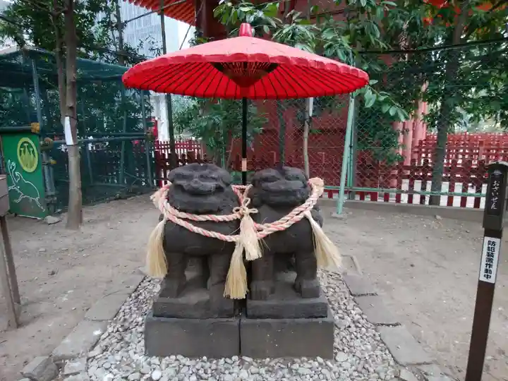 浅草神社の狛犬
