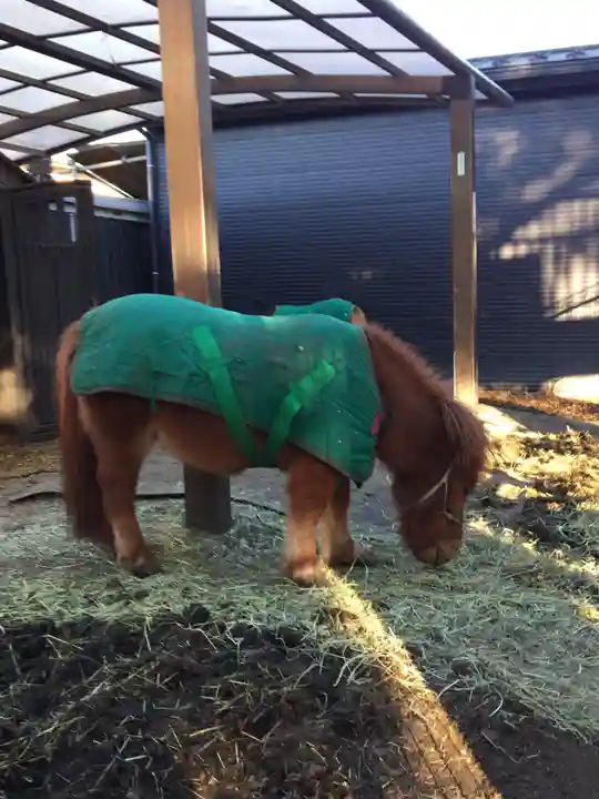 五方山熊野神社(東京都)