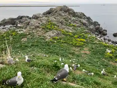 蕪嶋神社(青森県)