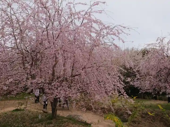 形原神社の自然