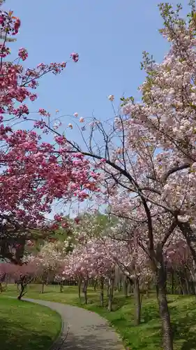 相馬神社の自然