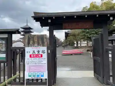 東寺（教王護国寺）(京都府)