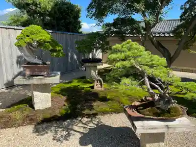 芳春院(京都府)
