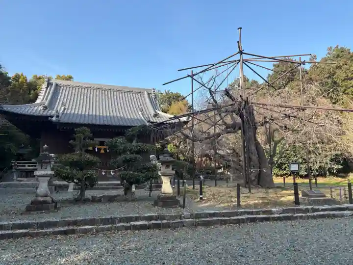 八幡社の{uncategorized: "未分類", other: "その他", undefined: "問題あり", building: "その他建物", grave: "お墓", sacred_gate: "鳥居", guardian: "狛犬", statue: "像", buddha: "仏像", history: "歴史", nature: "自然", garden: "庭園", animal: "動物", pagoda: "塔", temizu: "手水舎", mountain_gate: "山門・神門", sanctuary: "本殿・本堂", subordinate: "末社・摂社", art: "芸術", scenery: "景色", jizo: "地蔵", ema: "絵馬", goshuin: "御朱印", omikuji: "おみくじ", items: "授与品その他", amulet: "お守り", goshuincho: "御朱印帳", eats: "食事", festival: "お祭り", votive_dance: "神楽", shichigosan: "七五三参", wedding: "結婚式", experience: "体験その他", initially: "初詣", around: "周辺", anti_infection: "感染症対策"}