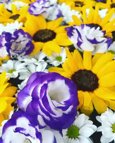 鹿島台神社(宮城県)