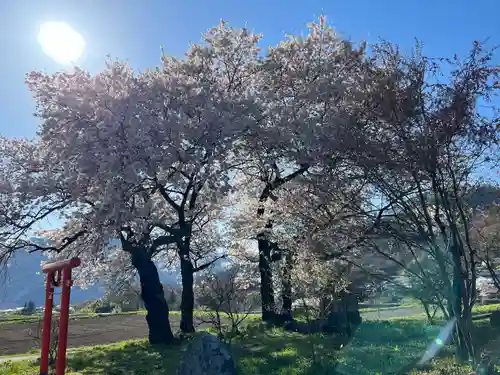 天神宮(伝河原氏屋敷跡)の自然