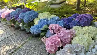 勝林寺(京都府)