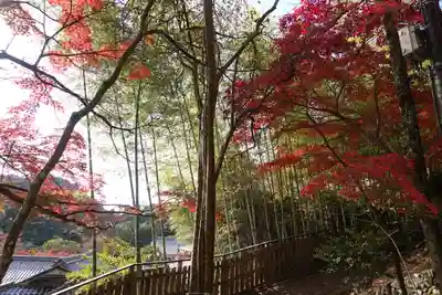 神峯山寺の自然