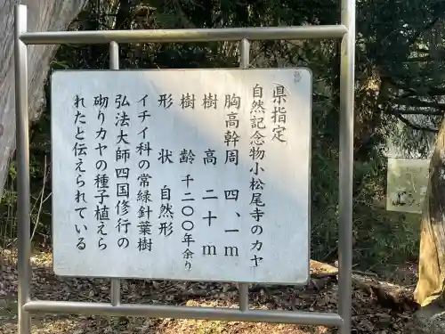 大興寺(香川県)