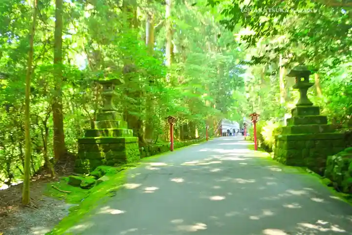 箱根神社(神奈川県)
