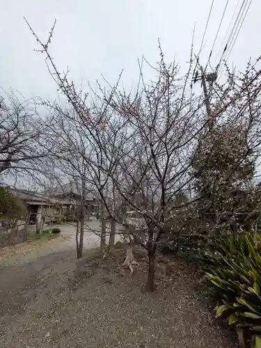 中瀬大神(神奈川県)