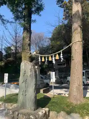 若一王子宮の自然