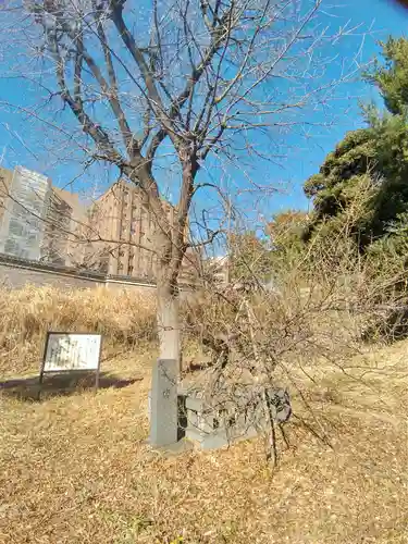 湯島聖堂の自然