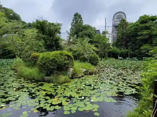 石清水八幡宮の庭園