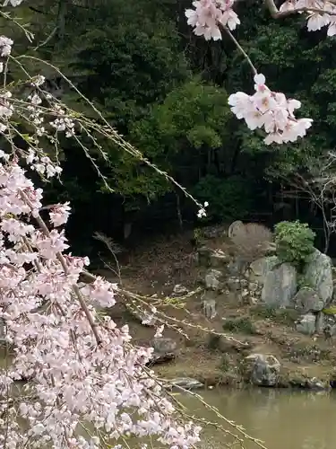 曹源寺(岡山県)