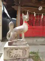 田中稲荷神社の狛犬