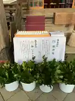 守りの神 藤基神社(新潟県)