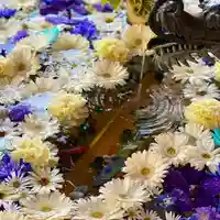 札幌諏訪神社の手水舎