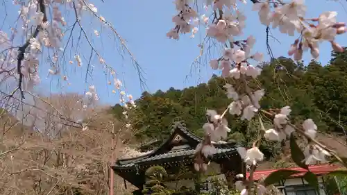 日蓮宗 総本山 塔頭 定林坊(じょうりんぼう)の建物その他