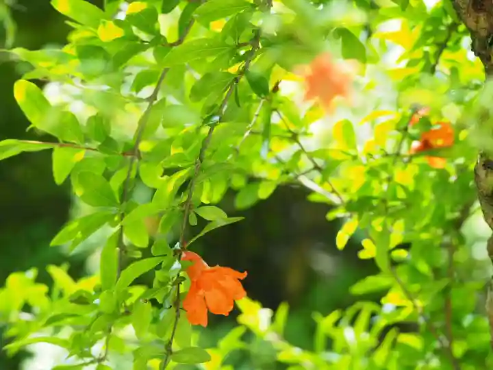 長壽寺(長寿寺)(神奈川県)