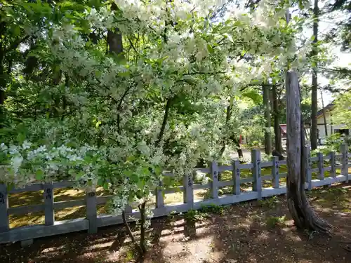 鷹栖神社の自然