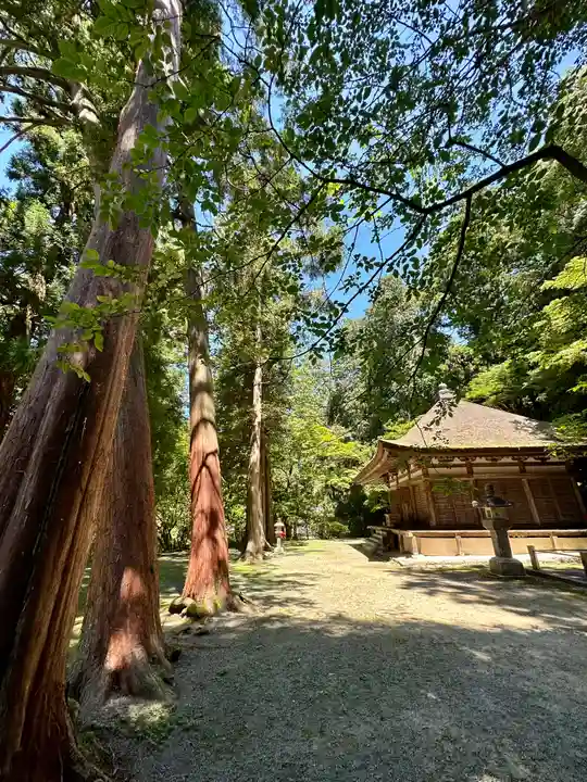 観心寺(大阪府)