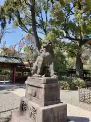 根津神社の狛犬