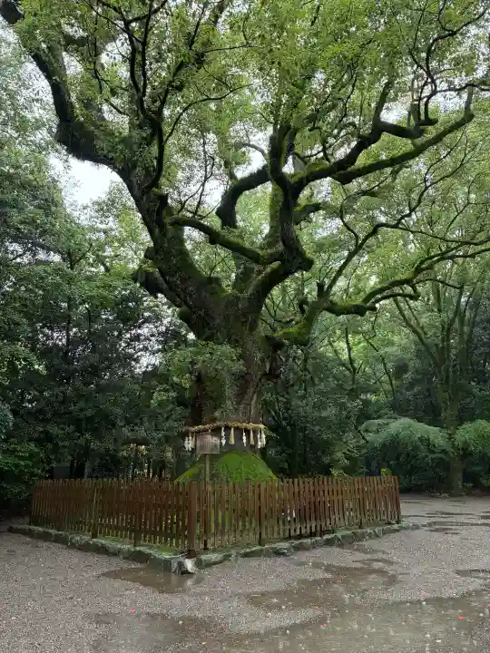熱田神宮(愛知県)