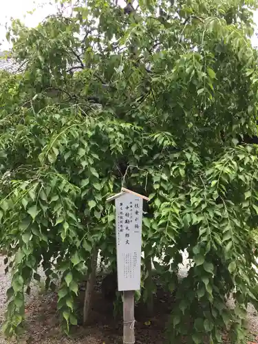 源九郎稲荷神社の歴史