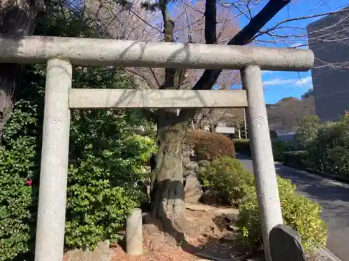 護国寺の鳥居