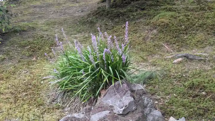 建仁寺(建仁禅寺)(京都府)