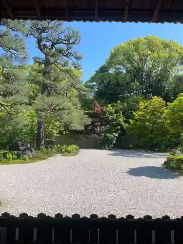 廬山寺（廬山天台講寺）(京都府)