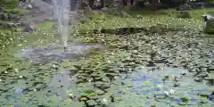 北海道護國神社の庭園