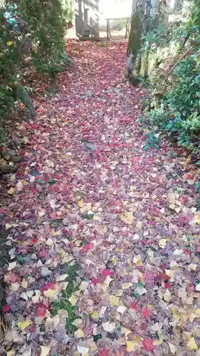 松尾寺(京都府)